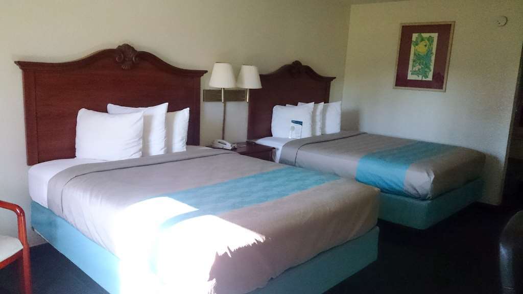 Motel 6-Spring Hill, Fl - Weeki Wachee Room photo